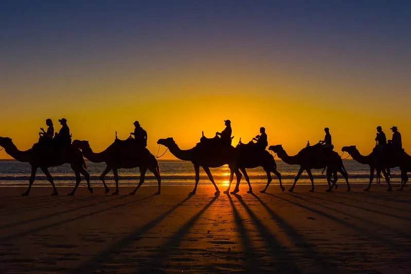 Camel ride at sunset near Agadir