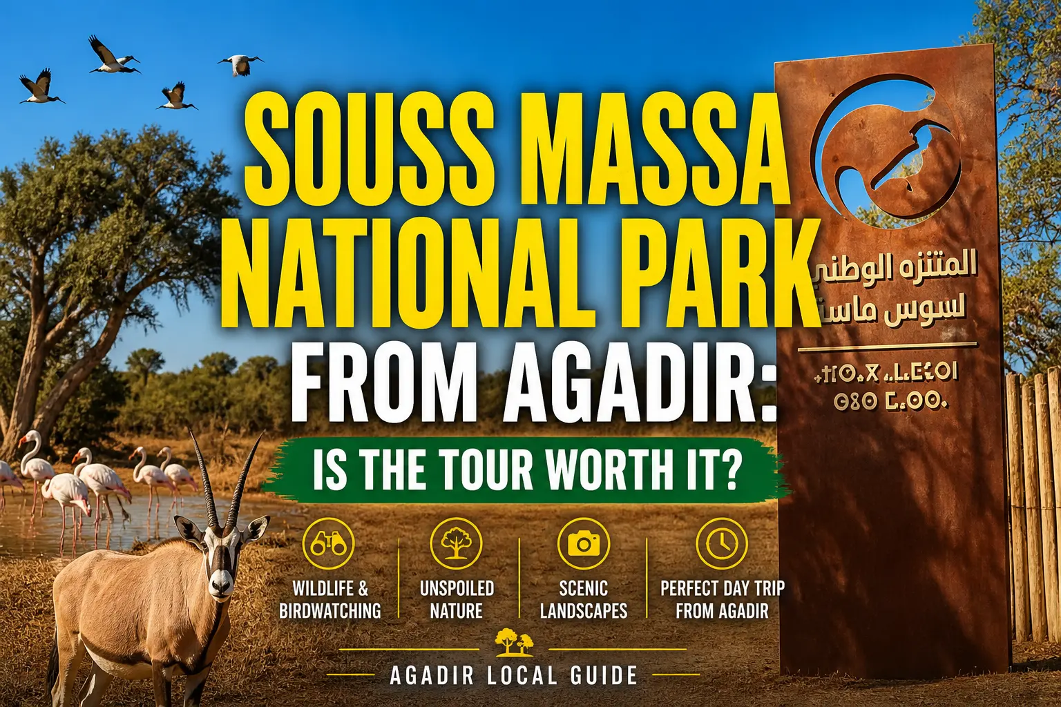 Souss Massa National Park from Agadir wildlife and lagoon landscape